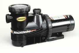 JACUZZI 1HP MAG FORCE Pump